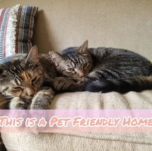 Pet Friendly Home